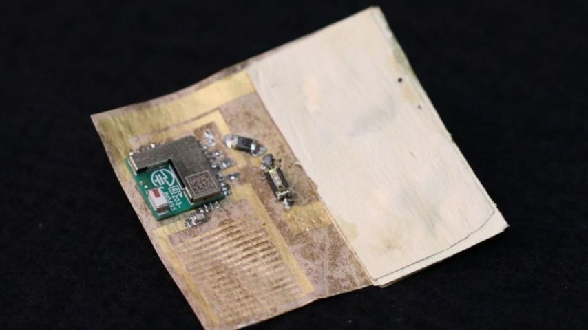Bunu da yaptılar! Gerçek mantardan elektronik tabaka üretildi