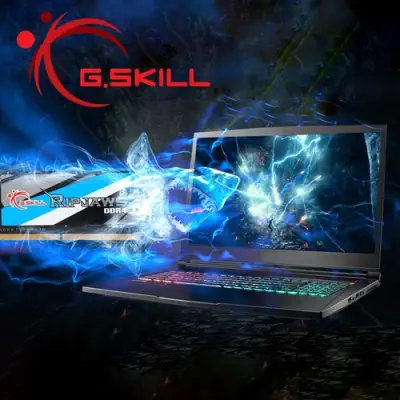 G.Skill Ripjaws F4-2666C18S-8GRS SO-DIMM Ram