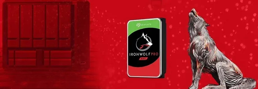 Seagate Ironwolf ST8000VN004 Nas Disk