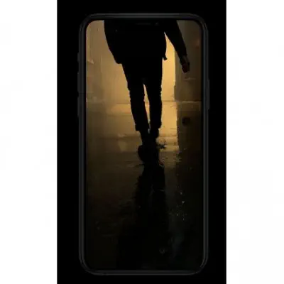 iPhone 11 Pro Max 256GB MWHK2TU/A Silver Cep Telefonu