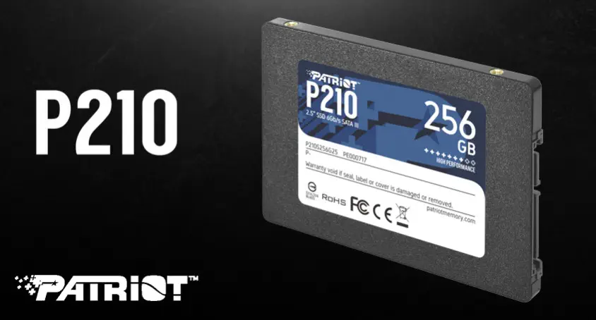 Patriot P210 P210S256G25 256GB SATA 3 SSD Disk