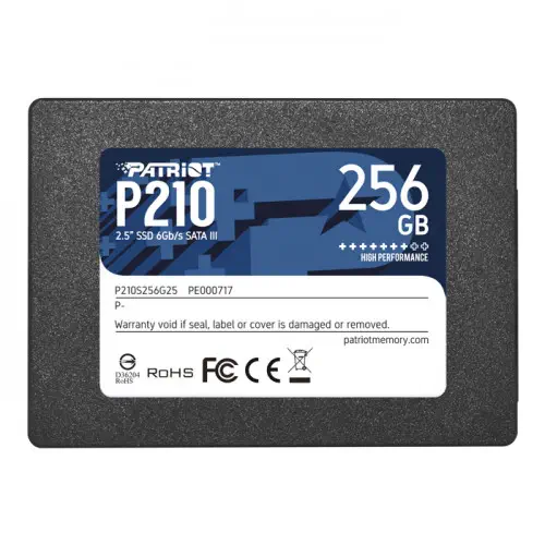 Patriot P210 P210S256G25 256GB SATA 3 SSD Disk