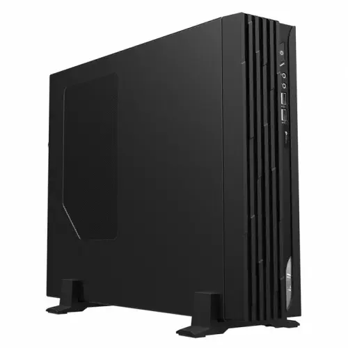 MSI Pro DP130 11QL-018XTR Siyah Mini PC