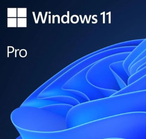 Microsoft Windows 11 Pro HAV-00159 TR 64Bit Kutulu İşletim Sistemi