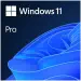 Microsoft Windows 11 Pro FQC-10556 TR Oem İşletim Sistemi