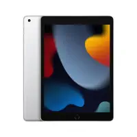 Apple iPad 9.Nesil 10.2″ Wi-Fi 64GB Gümüş MK2L3TU/A Tablet