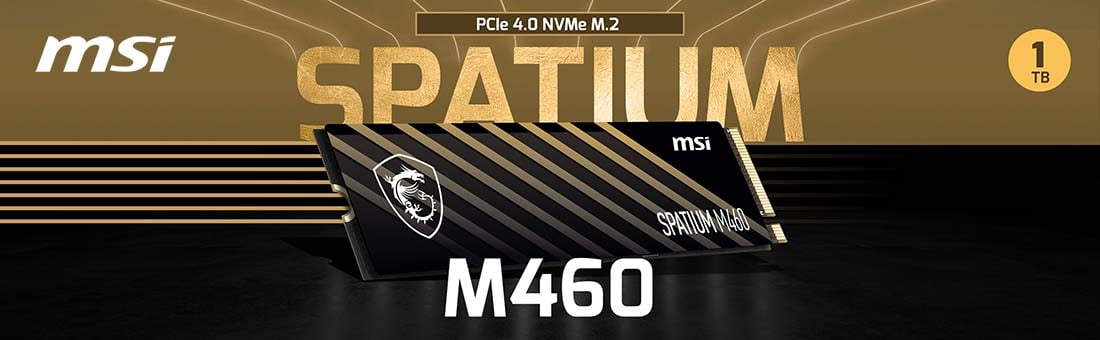 MSI Spatium M460 1TB 5000/4500MB/s PCIe 4.0 NVMe M.2 SSD Disk