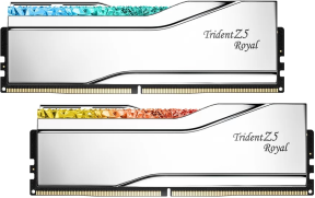 GSKILL Trident Z Royal Silver RGB 48GB (2x24GB) 8400MHz CL40 DDR5 Gaming Ram (F5-8400J4052G24GX2-TR5S)